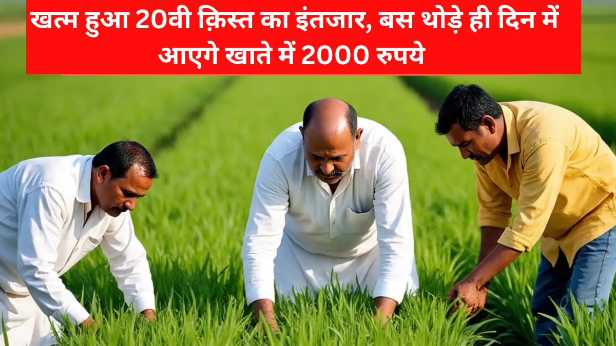 PM Farmer Scheme 20th Kist